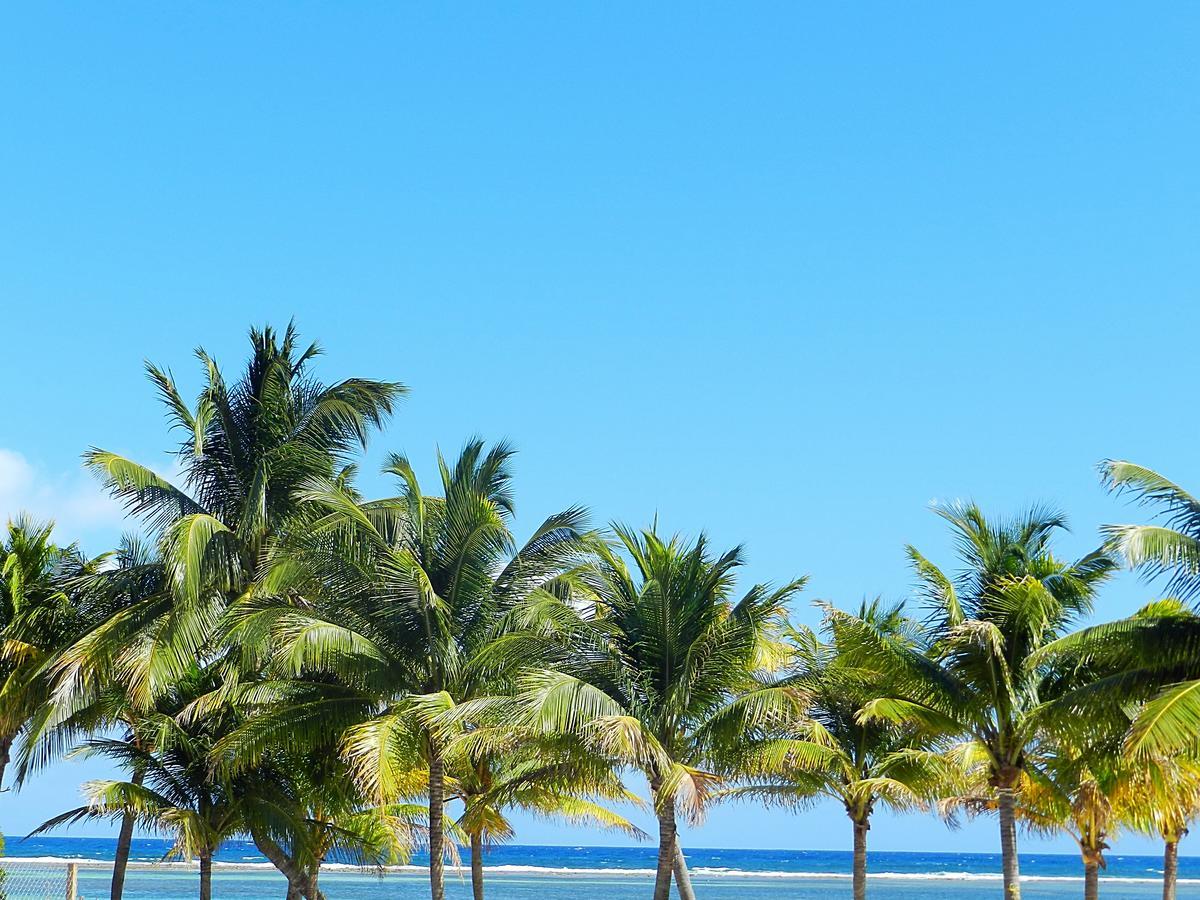 Palmeras De Mahahual Cabanas المظهر الخارجي الصورة