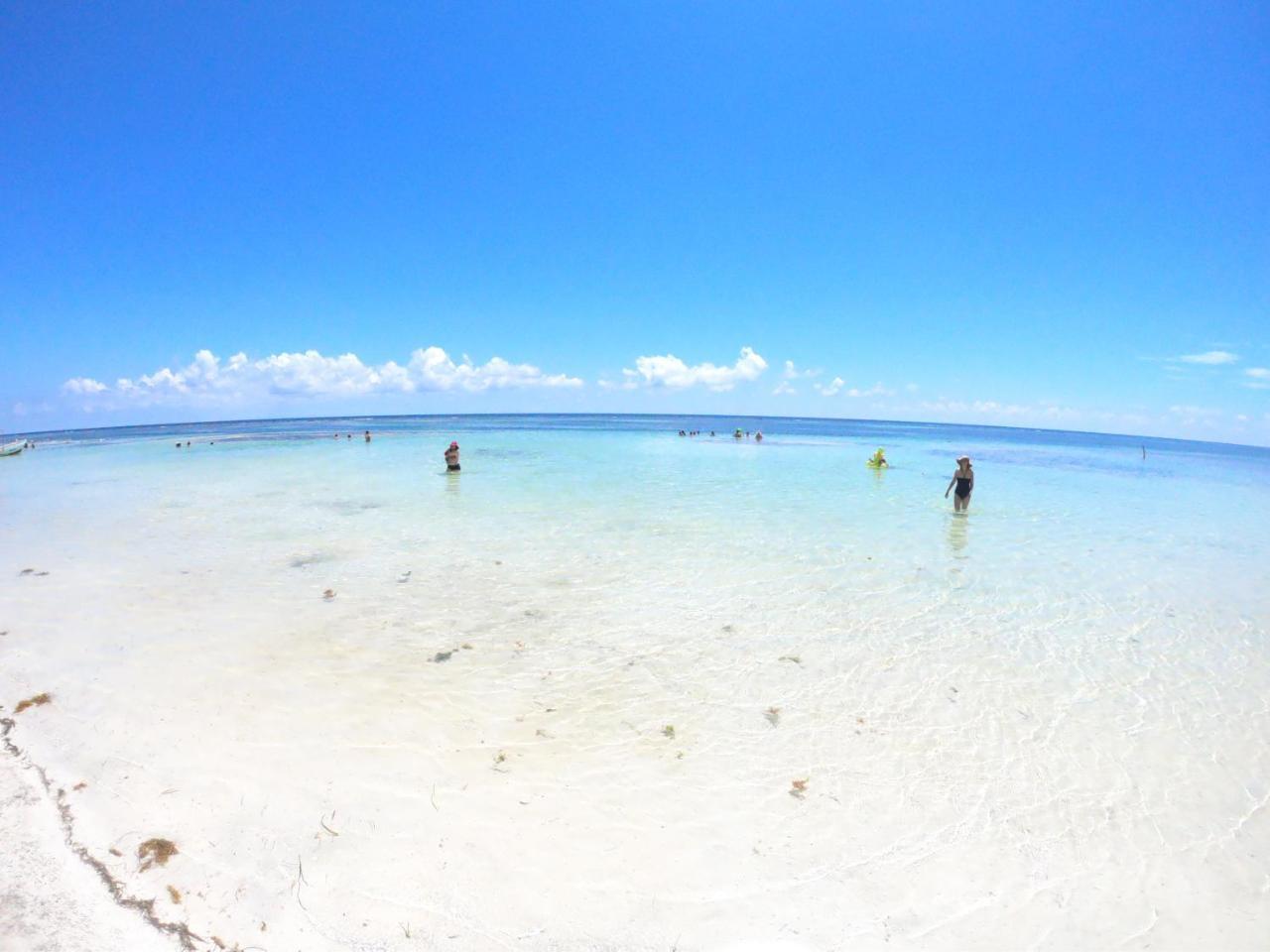 Palmeras De Mahahual Cabanas المظهر الخارجي الصورة