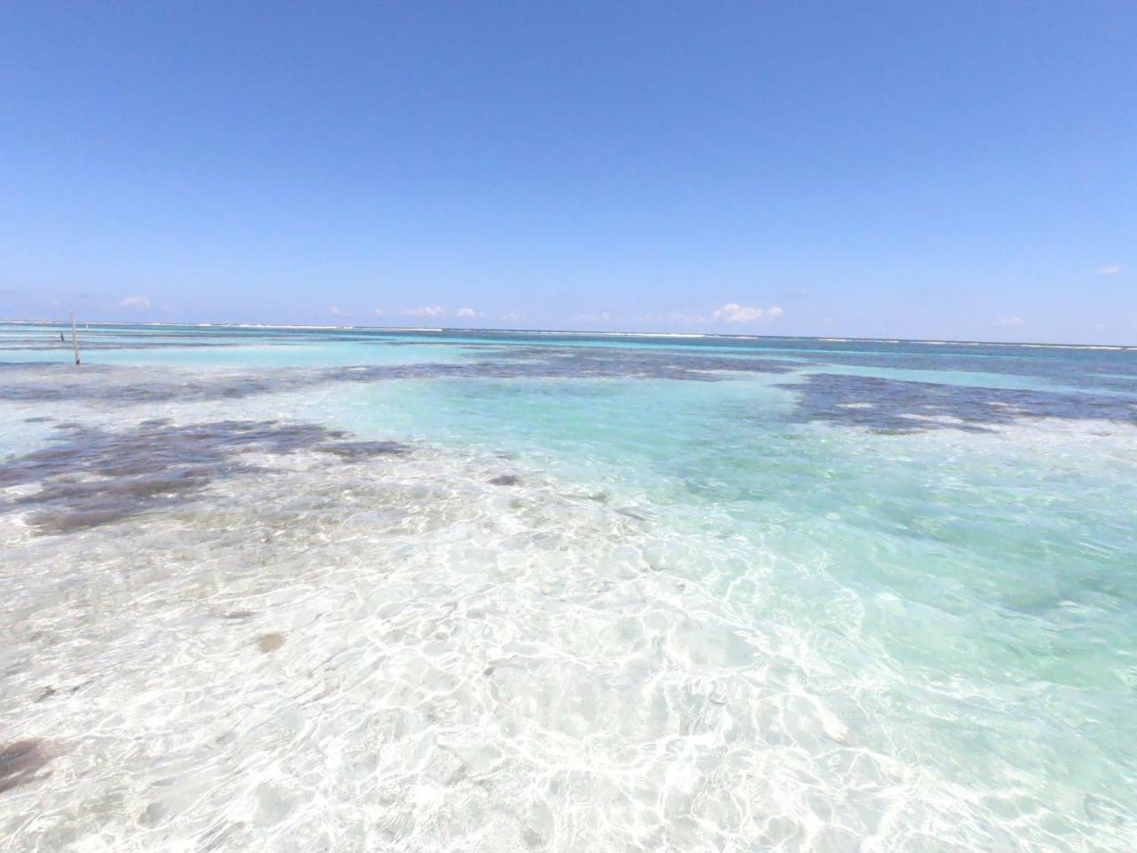 Palmeras De Mahahual Cabanas المظهر الخارجي الصورة