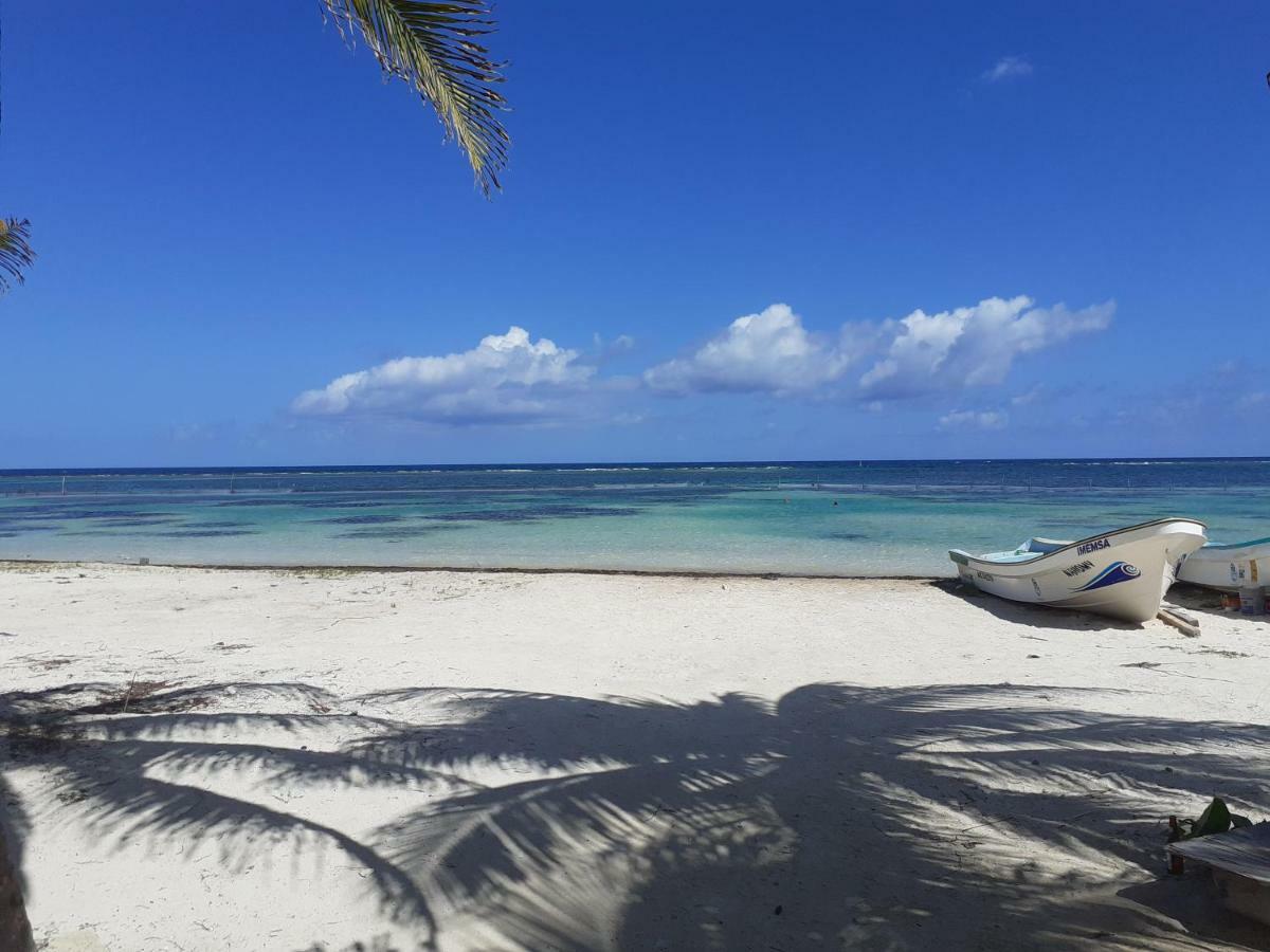 Palmeras De Mahahual Cabanas المظهر الخارجي الصورة