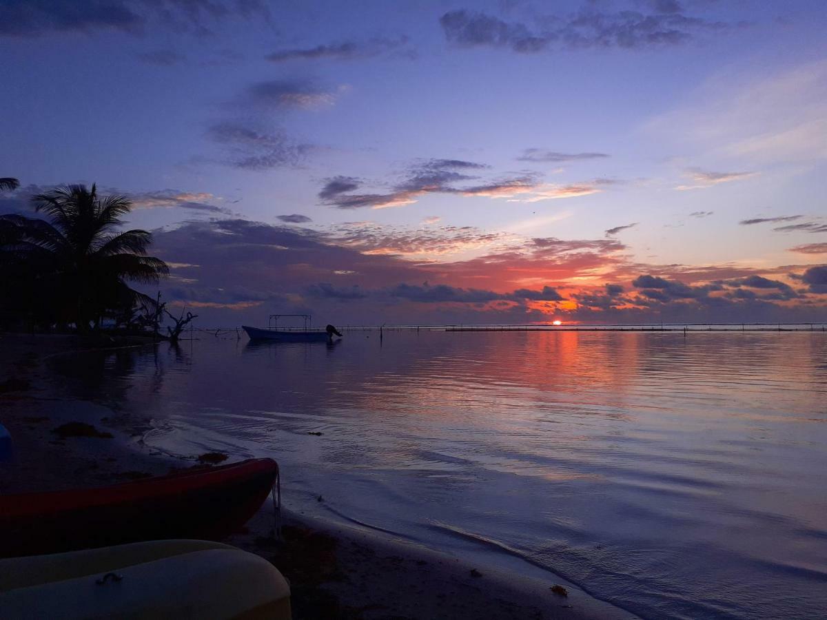 Palmeras De Mahahual Cabanas المظهر الخارجي الصورة