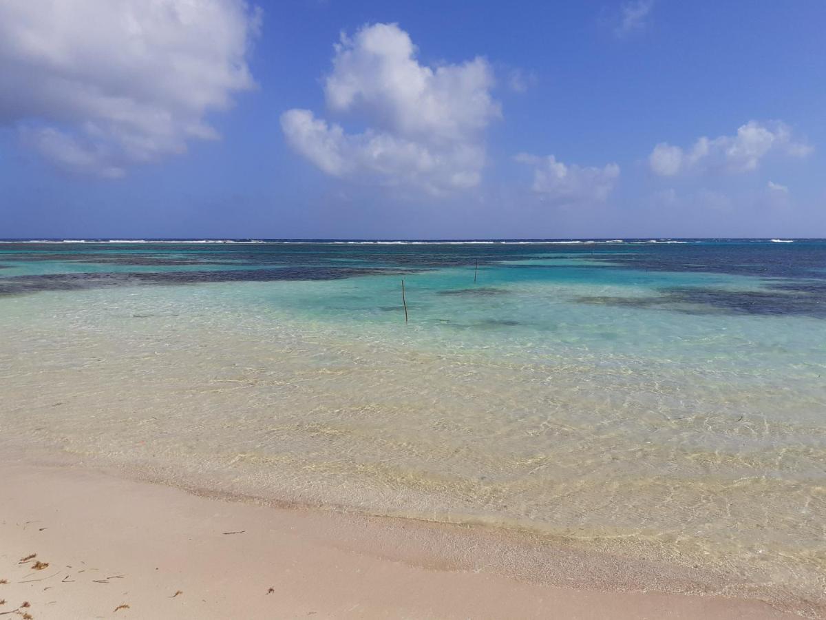 Palmeras De Mahahual Cabanas المظهر الخارجي الصورة